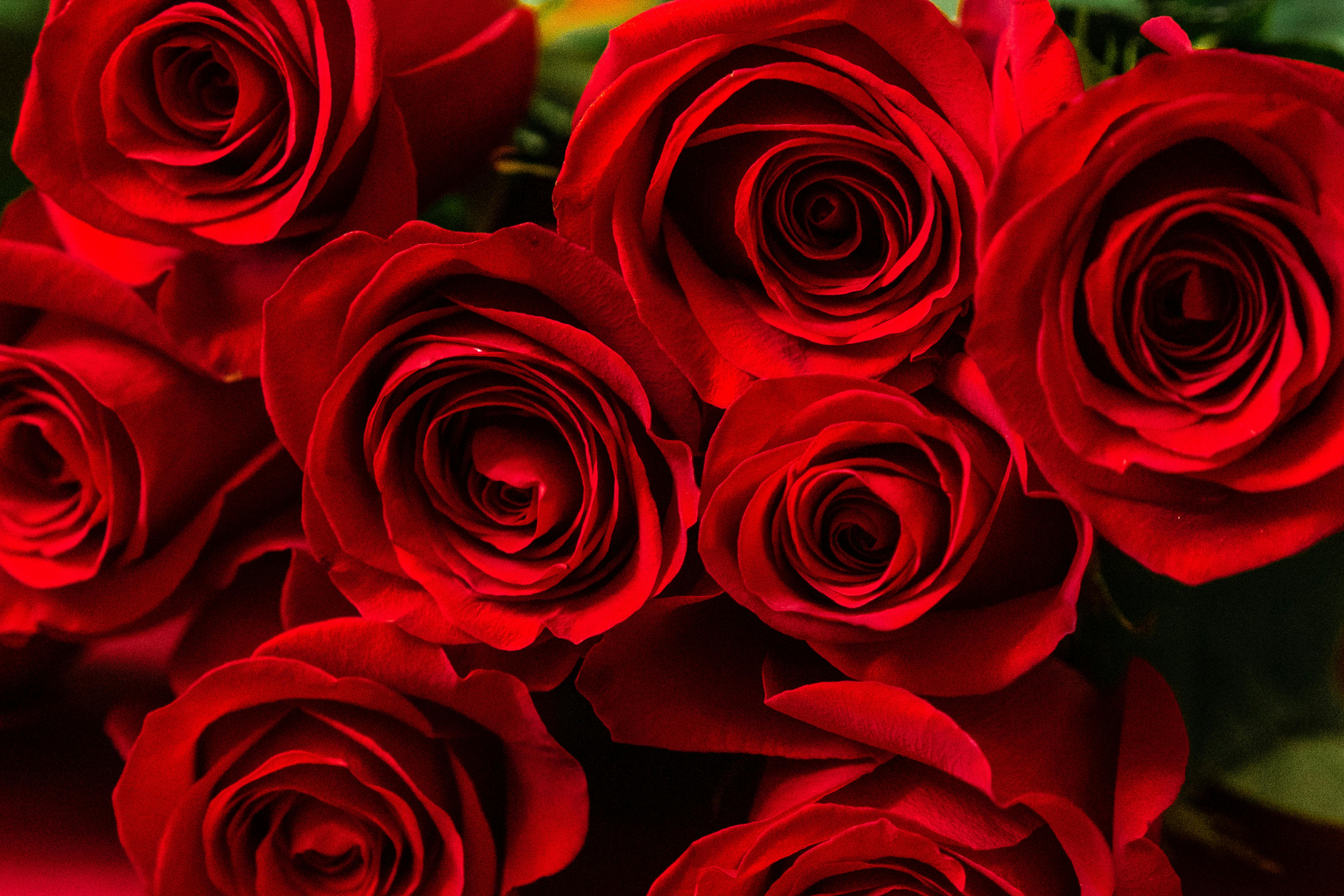 Ramo de rosas en Floristería Crisangel, Benidorm